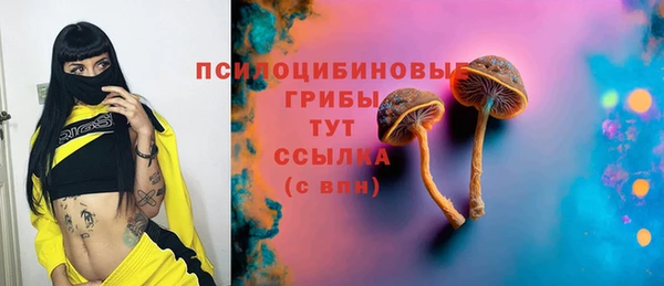 эйфоретик Абинск