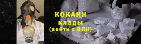 гидра Козловка