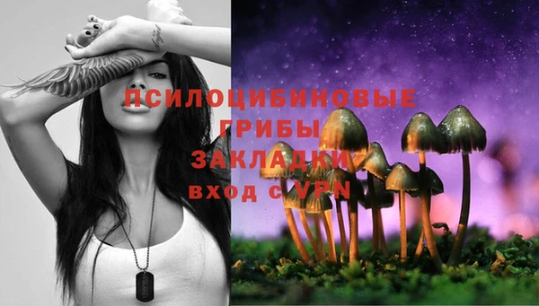 эйфоретик Абинск