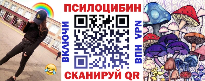 Псилоцибиновые грибы Cubensis  hydra как зайти  Зея 